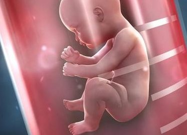 真的有女子不育不孕吗（女人不孕不育真的怀不上孩子吗）