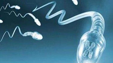 详细解读寿光市做长方案试管婴儿费用，长方案和短方案成功率有差别吗？