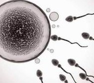 河池市不育不孕怎么办？河池市治疗不孕不育哪家医院好？