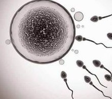 重度宫腔粘连在霍尔果斯市做试管婴儿靠谱吗，重度宫腔粘连试管婴儿成功率多少！